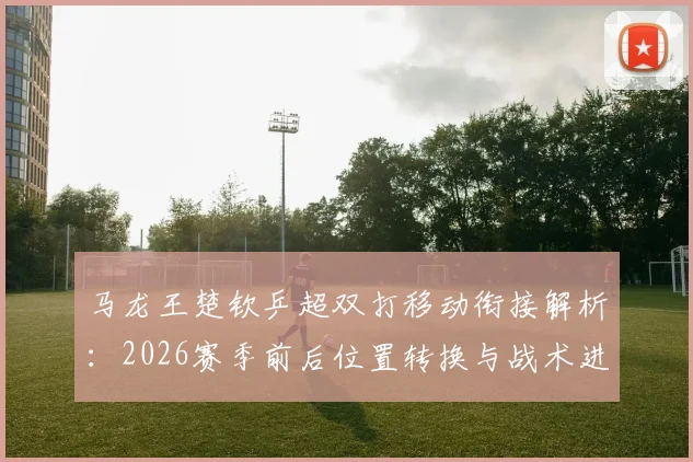马龙王楚钦乒超双打移动衔接解析:2026赛季前后位置转换与战术进化